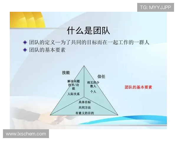 武汉羽毛球队战术解析：聚焦技术与团队协作的完美结合