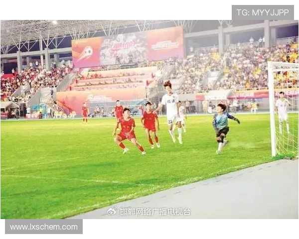 南京羽毛球队世界杯精彩配合展现团队精神与竞技实力的完美结合