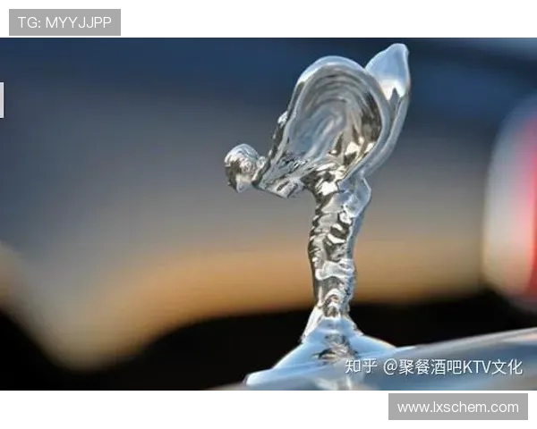 卡家军足球明星的崛起与荣耀背后那些不为人知的故事与奋斗历程