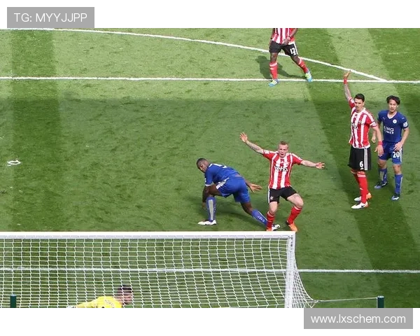 西安网球队灵活性分析：数据揭示战术适应能力与比赛表现的关系