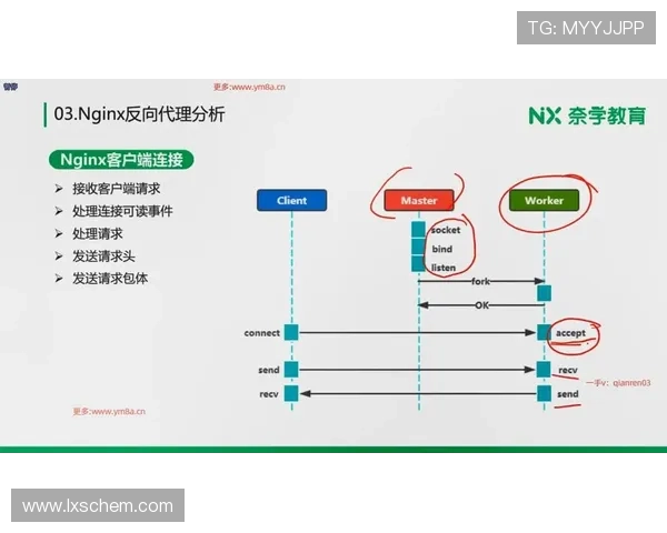 深入探讨上海篮球队在赛季中的数据分析与实力表现评估
