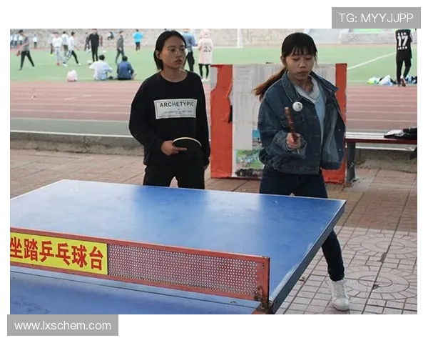 南京乒乓球队比赛经验分析与表现评估的深度研究与探讨